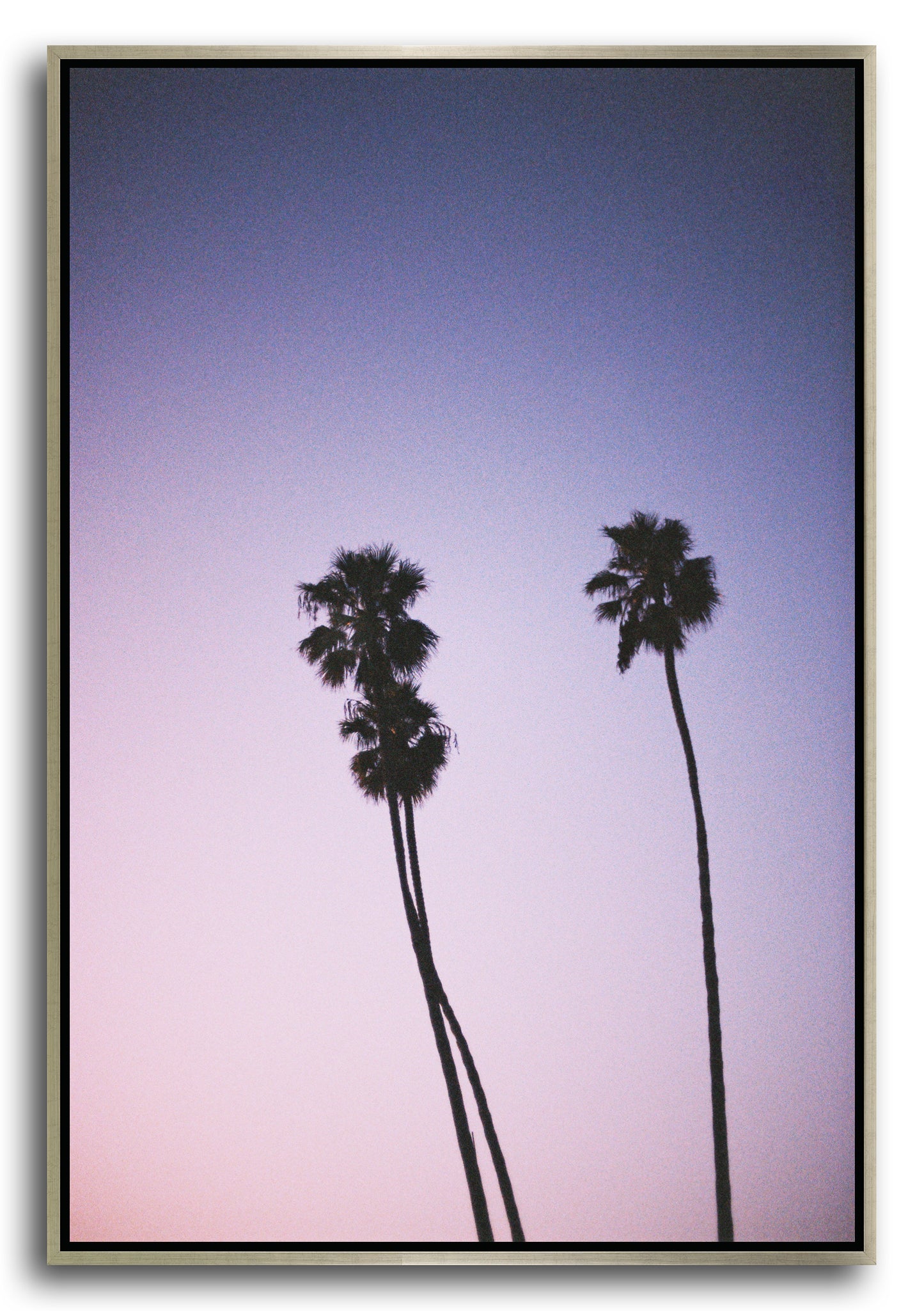 PALMS II